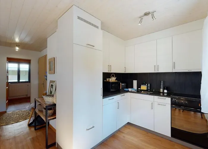 Apartment Aletsch Arena - Modern&bright 2 Bedroom *